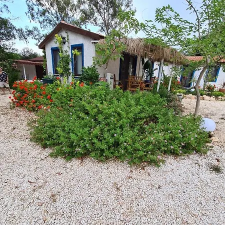 Eva's Tiny Homes *