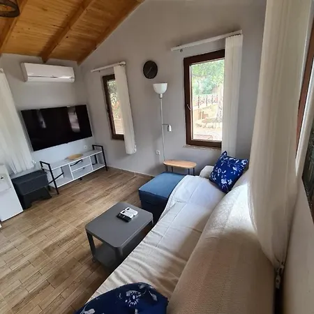 Holiday home Eva's Tiny Homes *