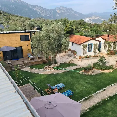 Eva's Tiny Homes *